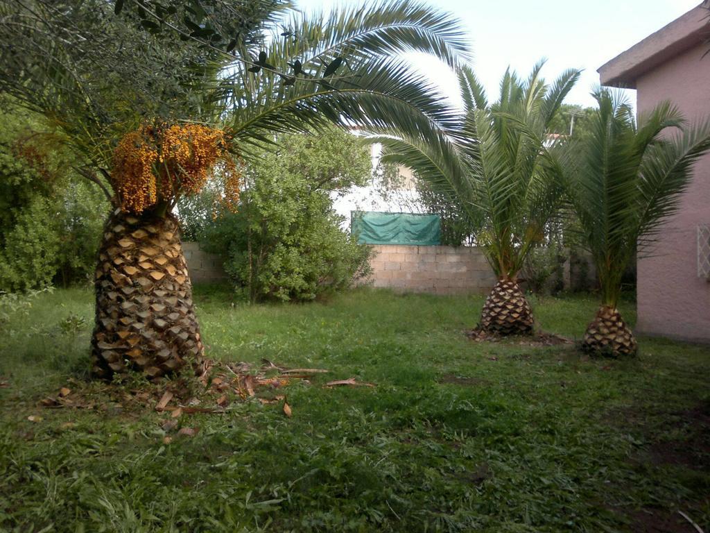 Il Fenicottero Rosa Villa Olbia Bagian luar foto