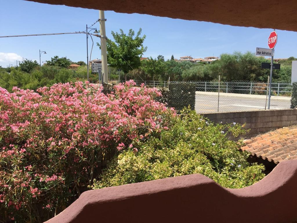 Il Fenicottero Rosa Villa Olbia Bagian luar foto