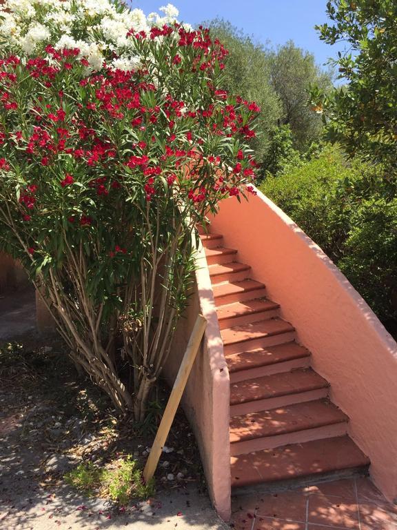 Il Fenicottero Rosa Villa Olbia Bagian luar foto