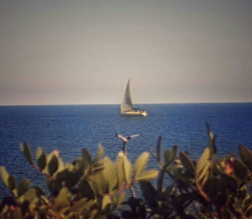 Il Fenicottero Rosa Villa Olbia Bagian luar foto