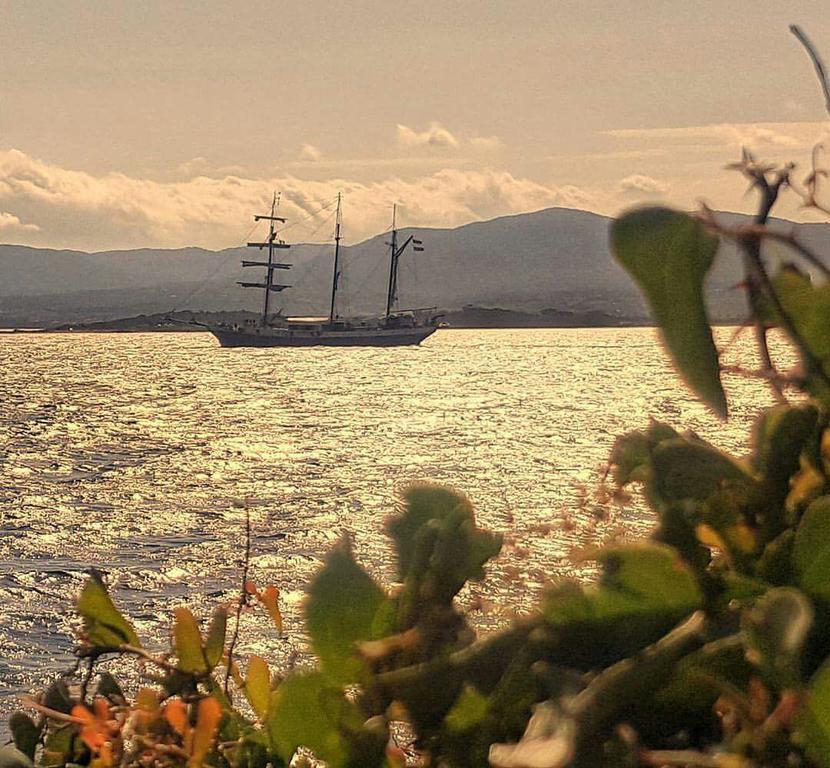 Il Fenicottero Rosa Villa Olbia Bagian luar foto
